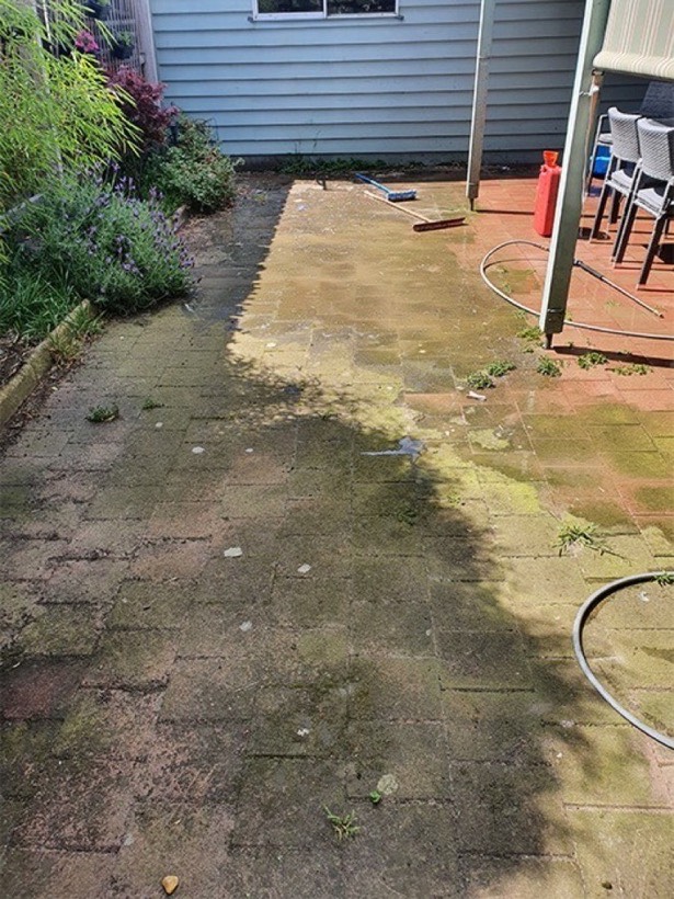 A backyard paved area green with moss, with a part-washed strip of clean red brick showing through