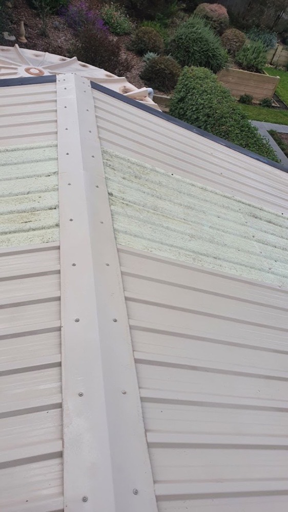 A Colorbond roof part way through cleaning, a band of green growth still to come off the upper sheets