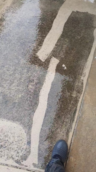 Concrete part-way through a pressure clean, showing the clean line