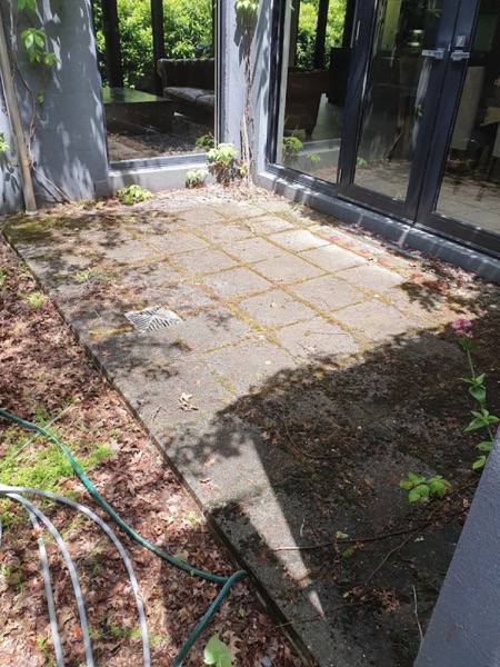 A paved courtyard before cleaning, stained and mossy