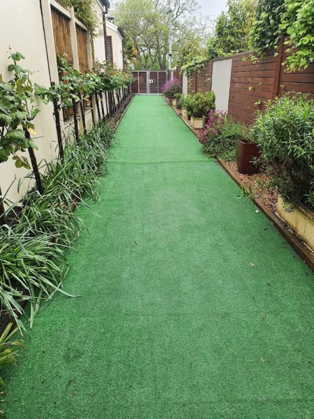 A synthetic grass path cleaned between garden beds