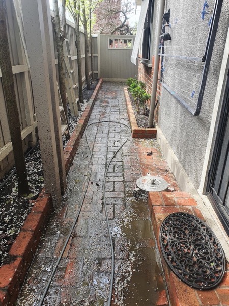 A narrow brick side path washed down, with the hose and surface cleaner still in place
